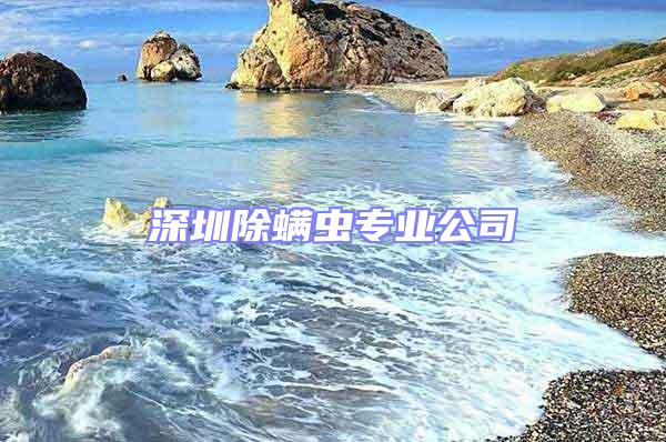 深圳除螨虫专业公司