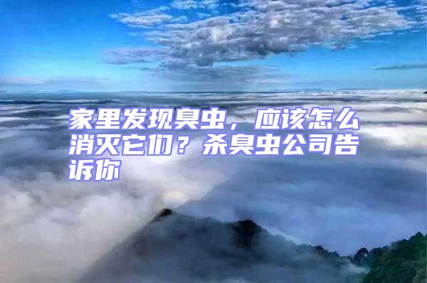 家里发现臭虫，应该怎么消灭它们？杀臭虫公司告诉你