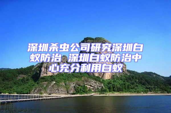 深圳杀虫公司研究深圳白蚁防治 深圳白蚁防治中心充分利用白蚁