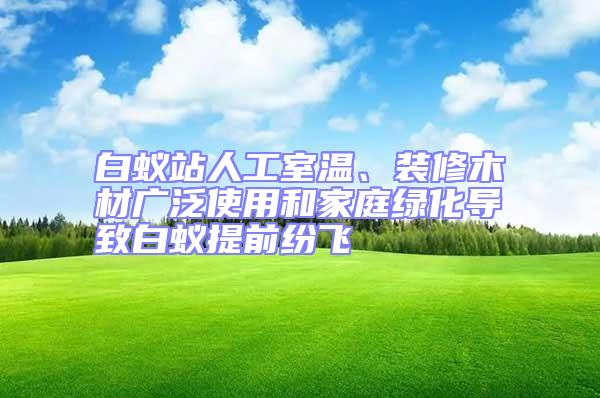 白蚁站人工室温、装修木材广泛使用和家庭绿化导致白蚁提前纷飞