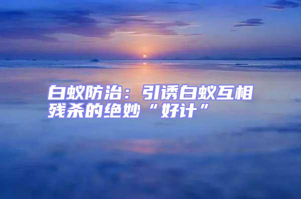 白蚁防治：引诱白蚁互相残杀的绝妙“好计”