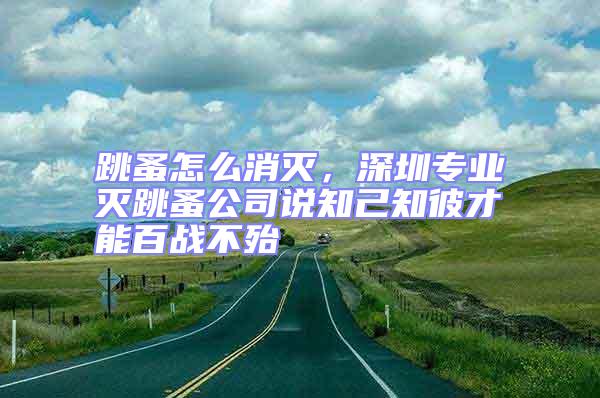 跳蚤怎么消灭，深圳专业灭跳蚤公司说知己知彼才能百战不殆