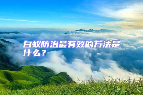 白蚁防治最有效的方法是什么？