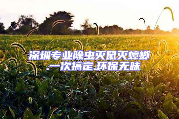 深圳专业除虫灭鼠灭蟑螂 .一次搞定.环保无味