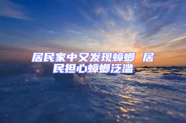 居民家中又发现蟑螂 居民担心蟑螂泛滥