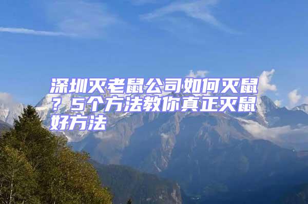 深圳灭老鼠公司如何灭鼠？5个方法教你真正灭鼠好方法