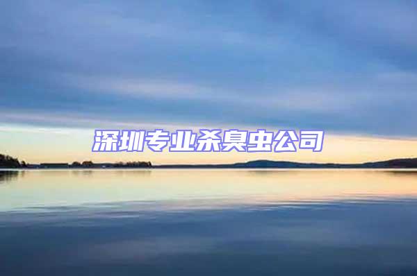 深圳专业杀臭虫公司