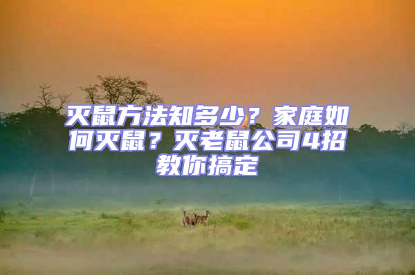 灭鼠方法知多少？家庭如何灭鼠？灭老鼠公司4招教你搞定