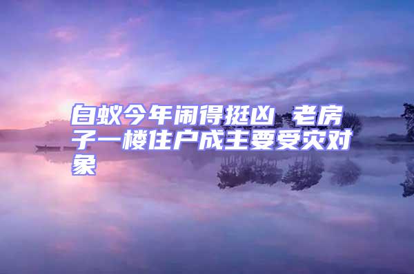 白蚁今年闹得挺凶 老房子一楼住户成主要受灾对象