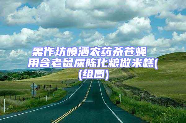 黑作坊喷洒农药杀苍蝇 用含老鼠屎陈化粮做米糕((组图)