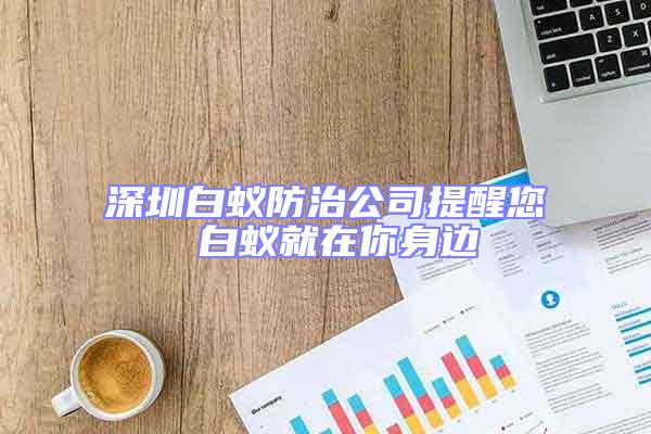 深圳白蚁防治公司提醒您 白蚁就在你身边