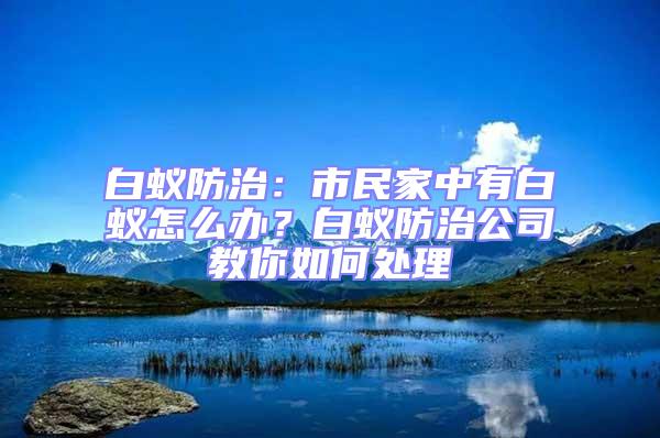 白蚁防治：市民家中有白蚁怎么办？白蚁防治公司教你如何处理