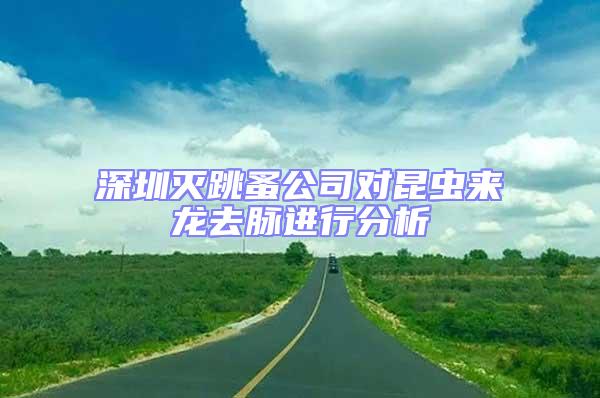 深圳灭跳蚤公司对昆虫来龙去脉进行分析