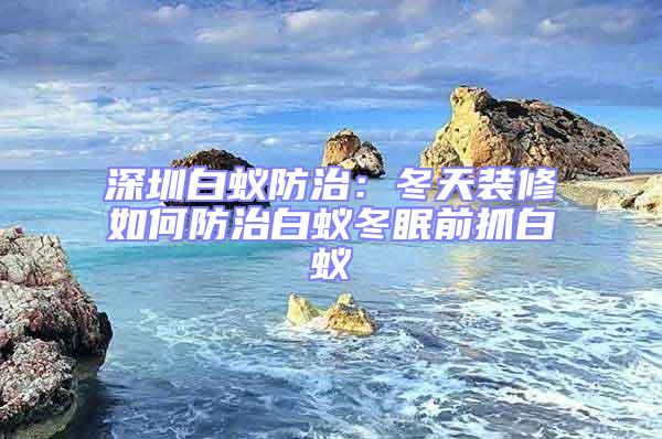 深圳白蚁防治：冬天装修如何防治白蚁冬眠前抓白蚁