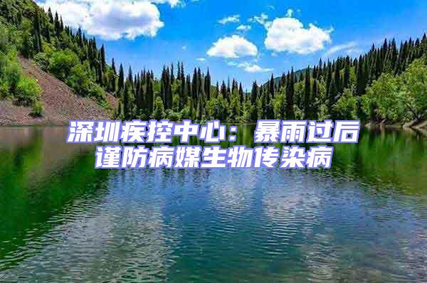 深圳疾控中心：暴雨过后谨防病媒生物传染病