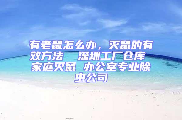 有老鼠怎么办，灭鼠的有效方法  深圳工厂仓库 家庭灭鼠 办公室专业除虫公司