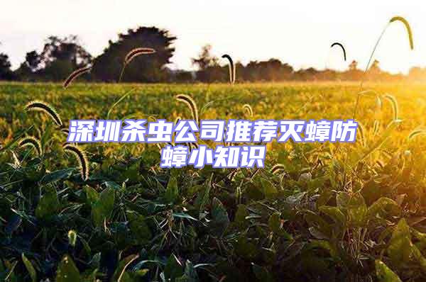 深圳杀虫公司推荐灭蟑防蟑小知识