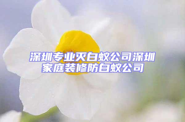 深圳专业灭白蚁公司深圳家庭装修防白蚁公司