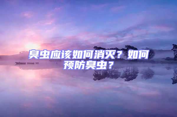 臭虫应该如何消灭？如何预防臭虫？