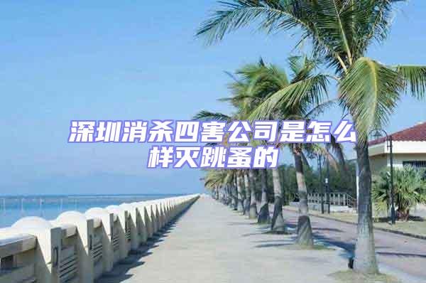 深圳消杀四害公司是怎么样灭跳蚤的