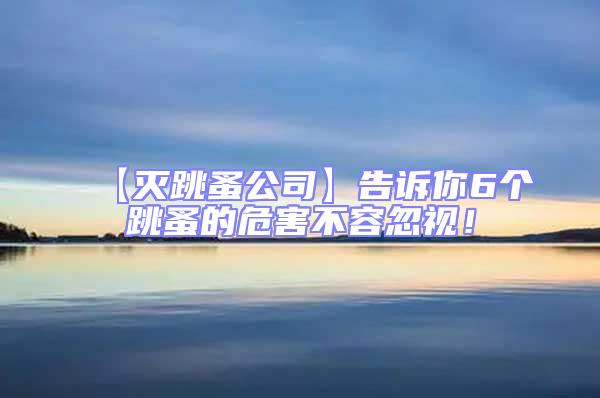 【灭跳蚤公司】告诉你6个跳蚤的危害不容忽视！