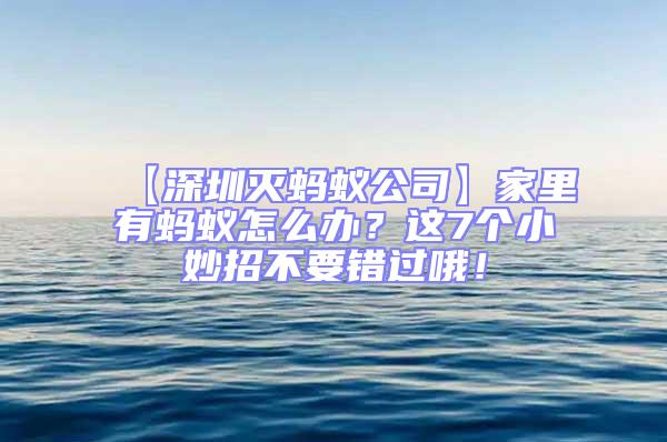 【深圳灭蚂蚁公司】家里有蚂蚁怎么办？这7个小妙招不要错过哦！