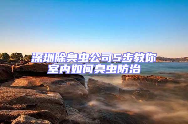 深圳除臭虫公司5步教你室内如何臭虫防治