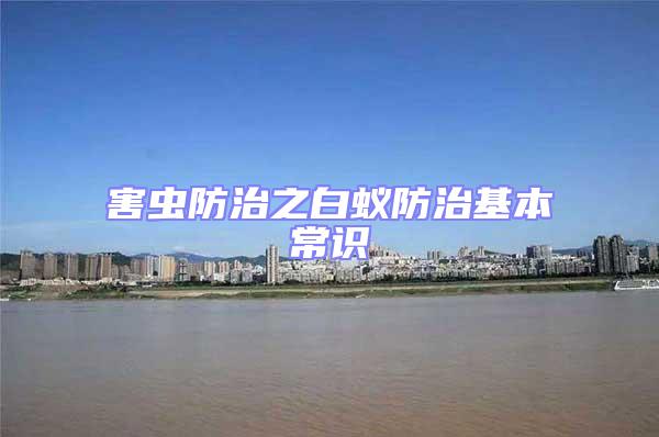 害虫防治之白蚁防治基本常识