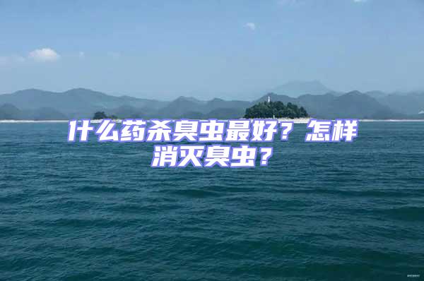 什么药杀臭虫最好？怎样消灭臭虫？