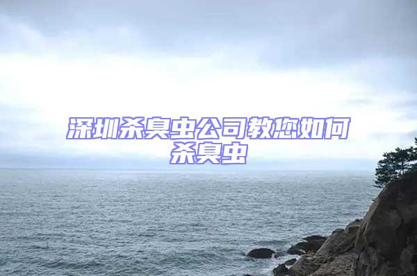 深圳杀臭虫公司教您如何杀臭虫