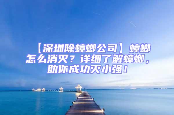 【深圳除蟑螂公司】蟑螂怎么消灭？详细了解蟑螂，助你成功灭小强！