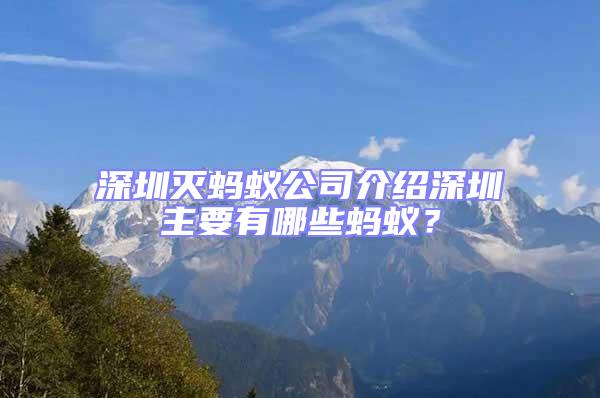 深圳灭蚂蚁公司介绍深圳主要有哪些蚂蚁？