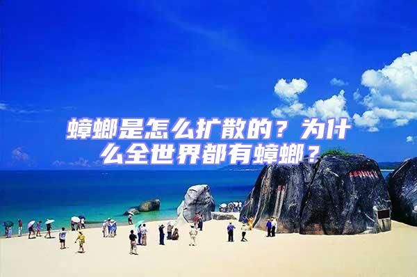 蟑螂是怎么扩散的？为什么全世界都有蟑螂？