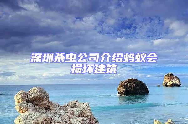 深圳杀虫公司介绍蚂蚁会损坏建筑