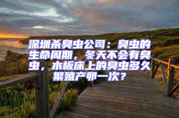 深圳杀臭虫公司：臭虫的生命周期，冬天不会有臭虫，木板床上的臭虫多久繁殖产卵一次？