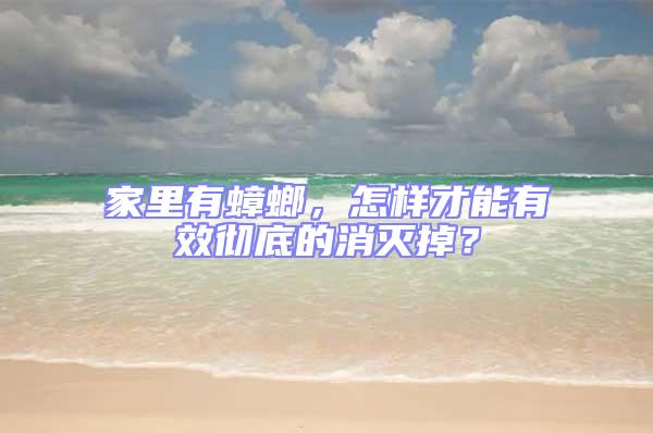 家里有蟑螂，怎样才能有效彻底的消灭掉？