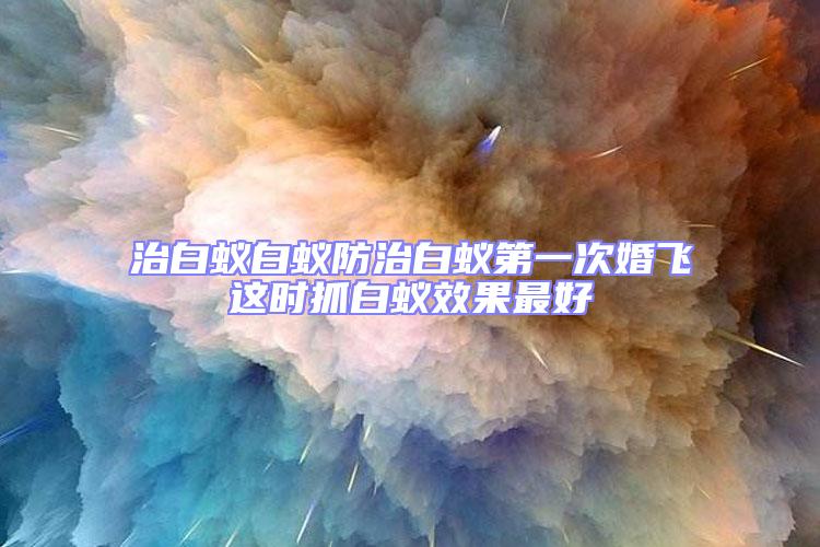 治白蚁白蚁防治白蚁第一次婚飞这时抓白蚁效果最好