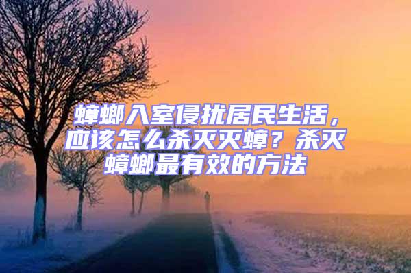 蟑螂入室侵扰居民生活，应该怎么杀灭灭蟑？杀灭蟑螂最有效的方法