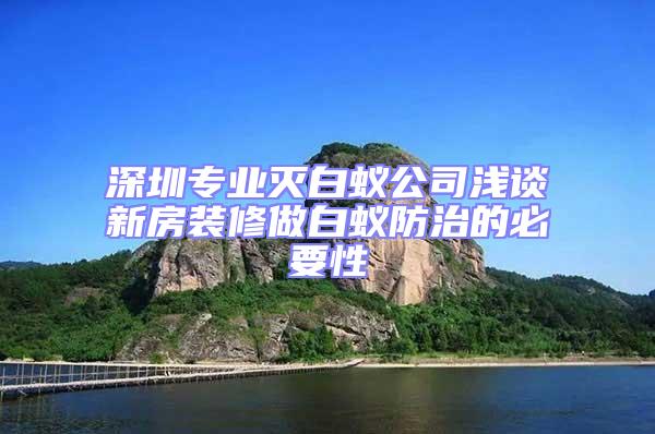 深圳专业灭白蚁公司浅谈新房装修做白蚁防治的必要性