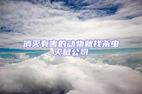 消灭有害的动物就找杀虫灭鼠公司