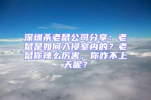 深圳杀老鼠公司分享：老鼠是如何入侵室内的？老鼠你辣么厉害，你咋不上天呢？