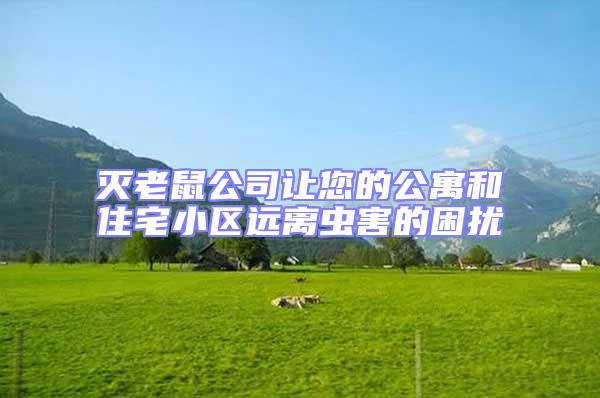 灭老鼠公司让您的公寓和住宅小区远离虫害的困扰