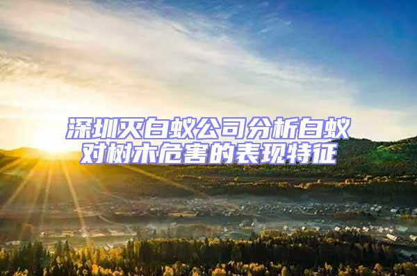 深圳灭白蚁公司分析白蚁对树木危害的表现特征