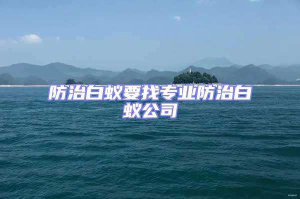 防治白蚁要找专业防治白蚁公司