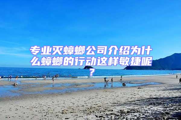 专业灭蟑螂公司介绍为什么蟑螂的行动这样敏捷呢？