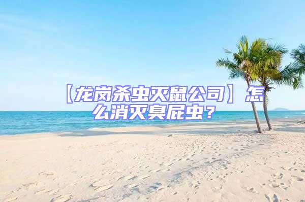 【龙岗杀虫灭鼠公司】怎么消灭臭屁虫？