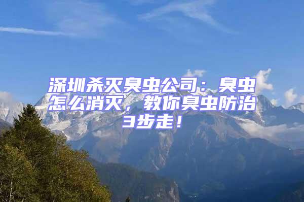 深圳杀灭臭虫公司：臭虫怎么消灭，教你臭虫防治3步走！