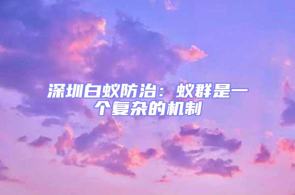 深圳白蚁防治：蚁群是一个复杂的机制