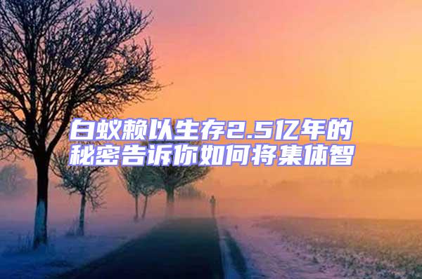 白蚁赖以生存2.5亿年的秘密告诉你如何将集体智