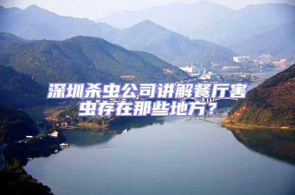 深圳杀虫公司讲解餐厅害虫存在那些地方？